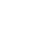 icon-1