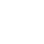 icon-10